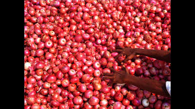 Onion prices drop to Rs 5,400/quintal in Lasalgaon as supply increases