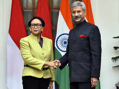 India, Indonesia decide to strengthen defence and security ties