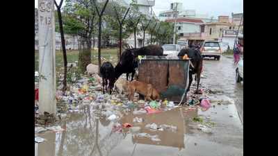 Haryana: No takers for door to door garbage collection in Ambala
