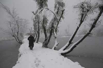 Fresh snowfall disrupts air, vehicular traffic to and from Srinagar