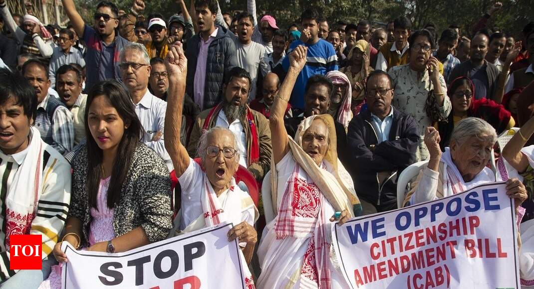 Granting citizenship is Centre’s call: Experts