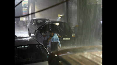 Delhi records wettest December day in 50 years