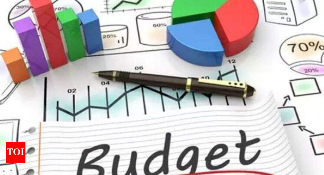 Budget likely on Feb 1, eco survey on Jan 31