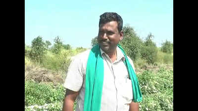 Onions make debt-ridden Karnataka farmer crorepati