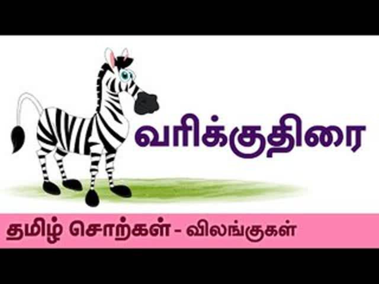 Animals Spelling In Tamil 'வரிக்குதிரை' - Kids Learning Video In Tamil |  Entertainment - Times of India Videos