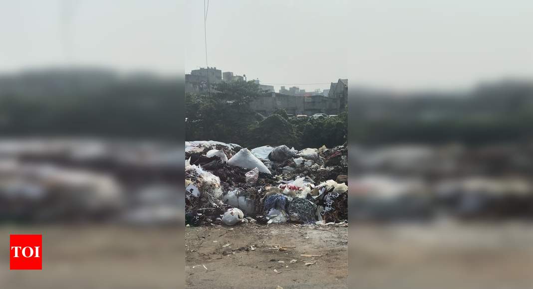 Gobra Khaal Garbage Topsia Times Of India