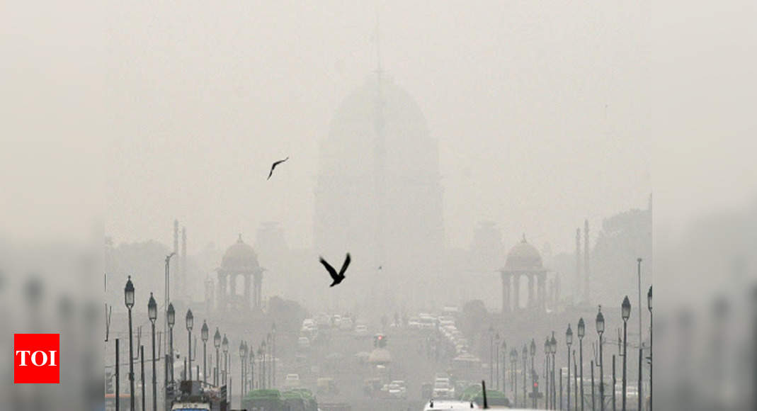 Delhi Weather Today: Foggy morning in Delhi | Delhi News - Times of India