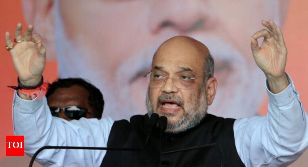 Sky-kissing Ayodhya temple in 4 months: Shah
