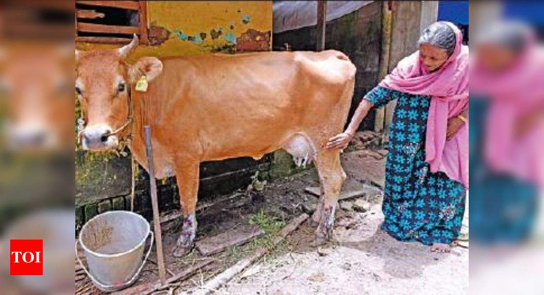 25 lakh farmer households and animals to be geo-mapped soon ...