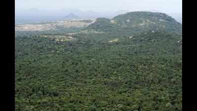 Karnataka: Govt proposes to reduce BNP’s ecosensitive-zone by 36%; green activists worry