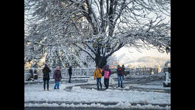 Photos: White Christmas to elude Shimla this year too!