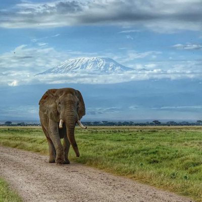 Behind the lens: Tamil wildlife photographer tells us the story behind ...