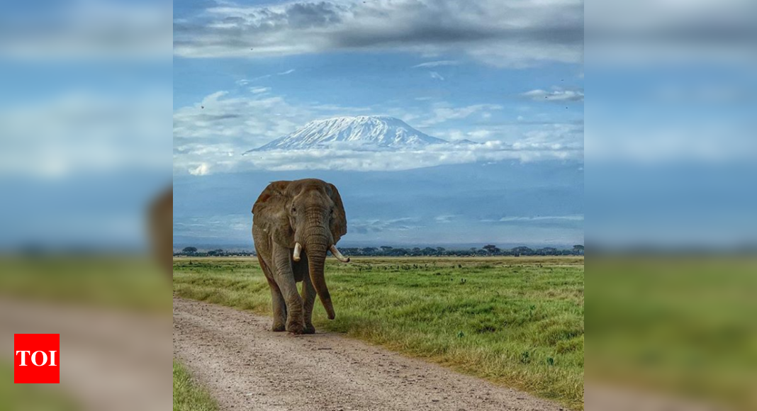 behind-the-lens-tamil-wildlife-photographer-tells-us-the-story-behind