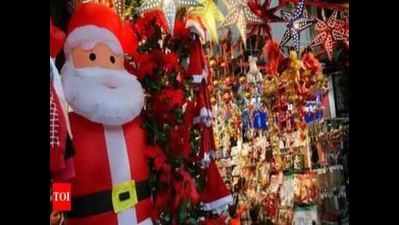 Zoo, cafés gear up for Christmas celebrations in Patna