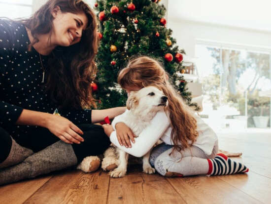 This is why you must buy presents for your pets this Christmas