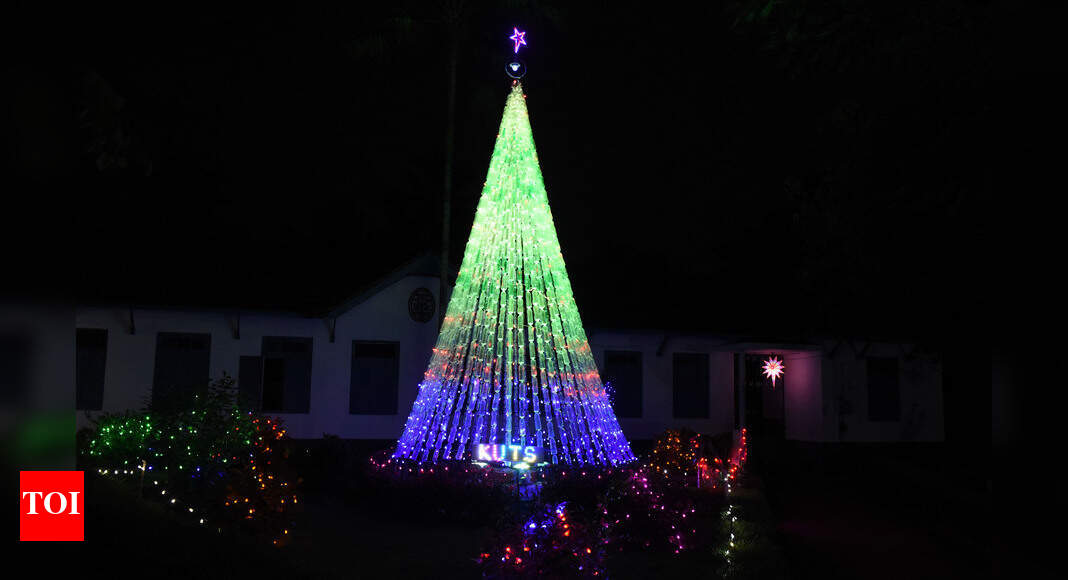 Christmas Decor Malayalis opt for DIY decor this Christmas Kochi