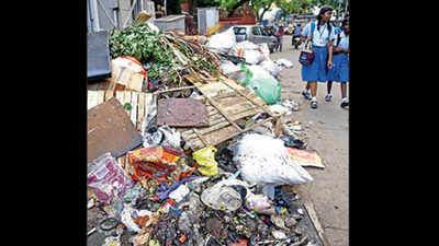 Chennai: Spanish firm to undertake garbage collection in seven zones from Tuesday