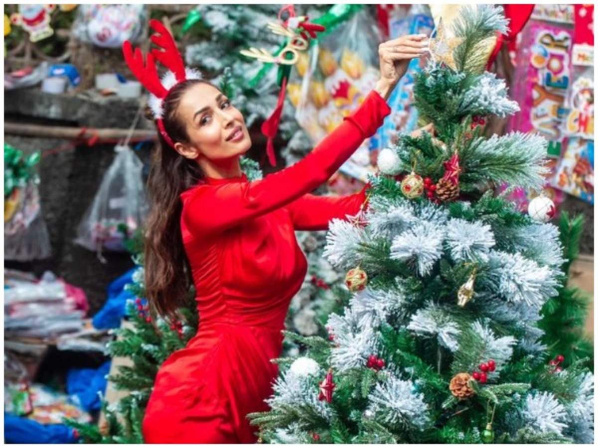 Malaika Arora: This year, Christmas is so much more special for me | Hindi Movie News - Times of India