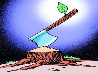 Bengaluru: 1,600 trees may go, but few takers for hearing