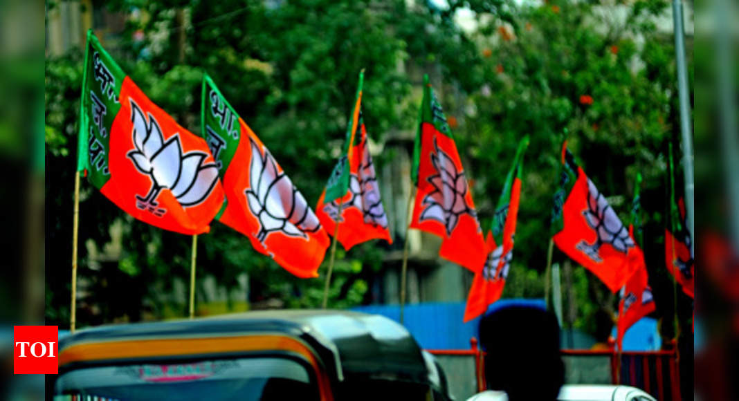 After Losing Jharkhand, Why BJP Faces Uphill Task In Upcoming Assembly ...