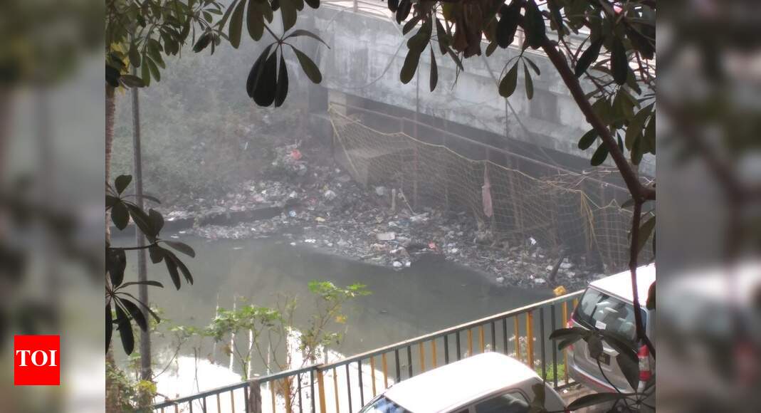 Garbage.net - Times of India