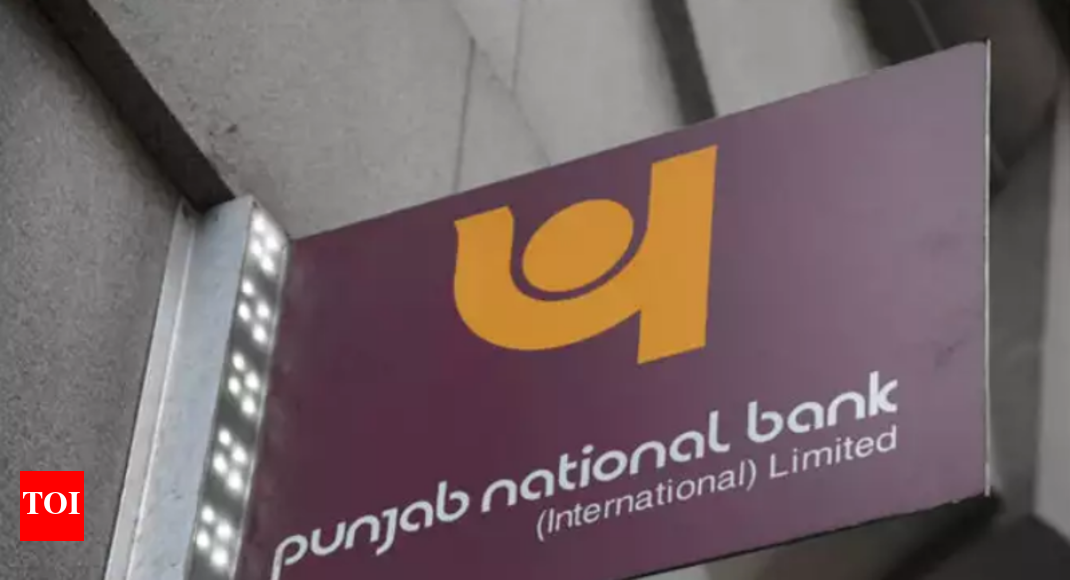 Fraud-hit PNB alleges it has been swindled again