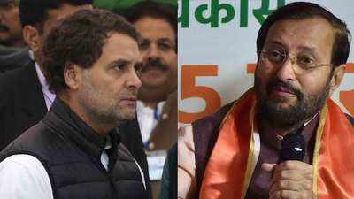 BJP hits back at Rahul Gandhi, calls Congress leader 'liar of the year'