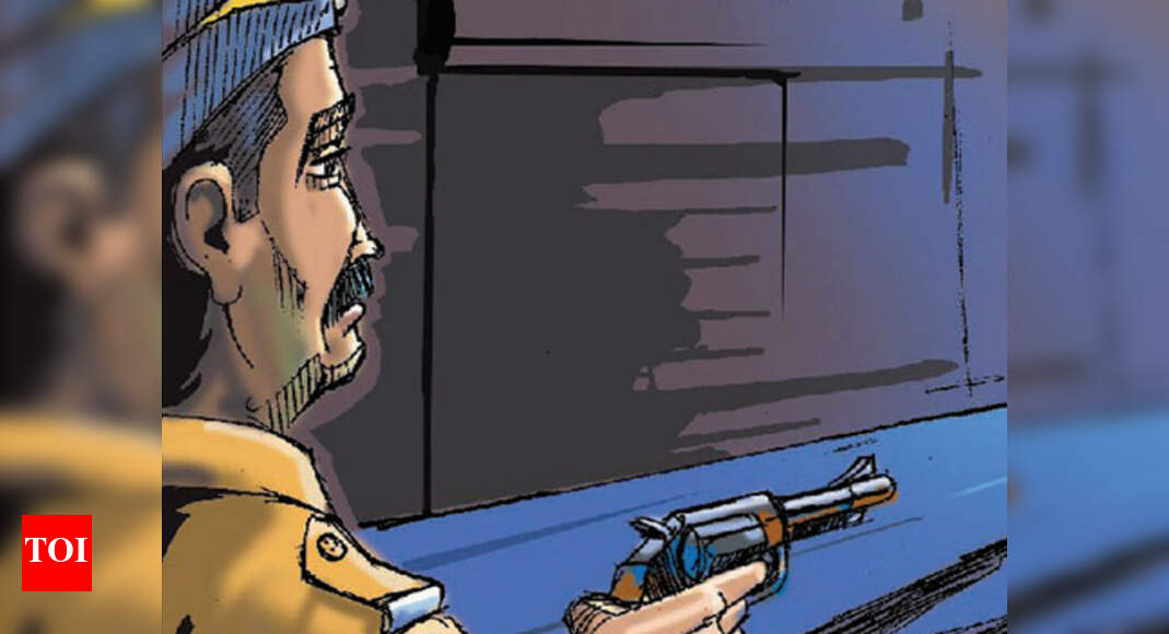 Two molesters try to flee in Meerut, shot at leg | Meerut News - Times ...