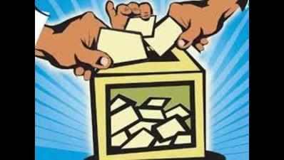 Tamil Nadu rural local body polls second phase: Voting under way