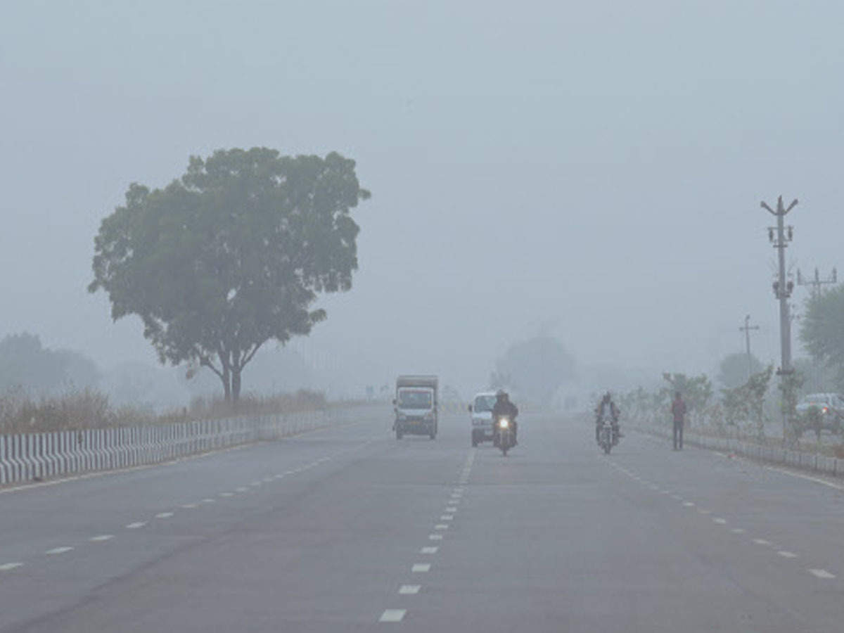 Cold wave conditions continue in Rajasthan, Sikar coldest at minus 0.5 degree Celsius | Jaipur News - Times of India