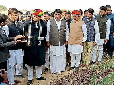 CM Ashok Gehlot orders special girdawari to assess crop loss by locusts