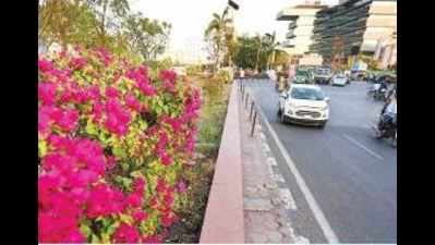 Indore on course to retain #1 Swachh tag, Bhopal improves