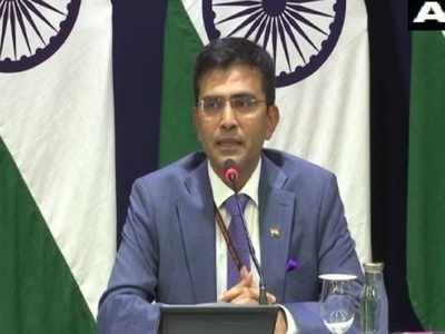 India reached out to countries across world on CAA, NRC: MEA