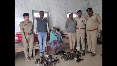 Ahmedabad: Two held with 41 live birds