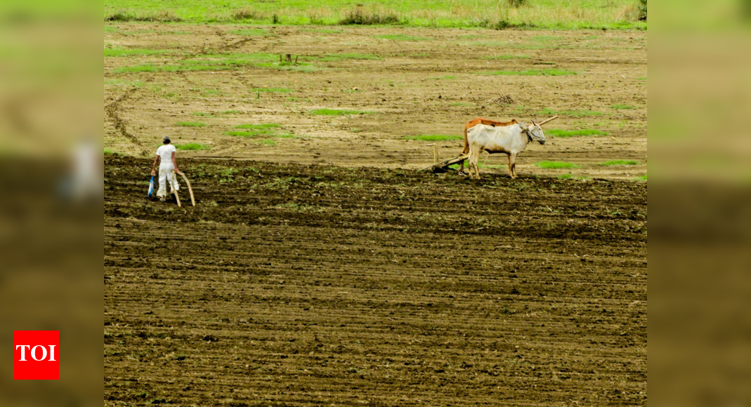 300 Maha farmers killed selves in Nov while parties jostled for power