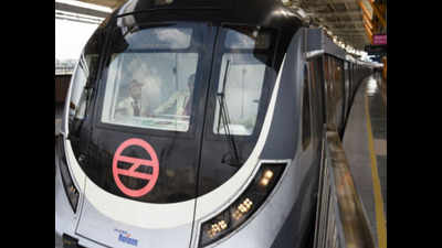 Delay in services on Delhi Metro's Grey Line due to technical snag