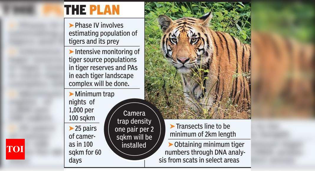 States get ready to conduct Phase-IV tiger monitoring, kick off in Maha ...