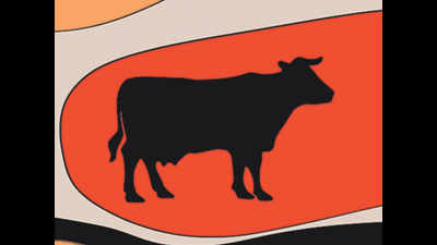Uttar Pradesh: 21 cows die of electric shock in Banda gaushala