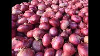 Onion prices continue to burn a hole in common man’s pocket