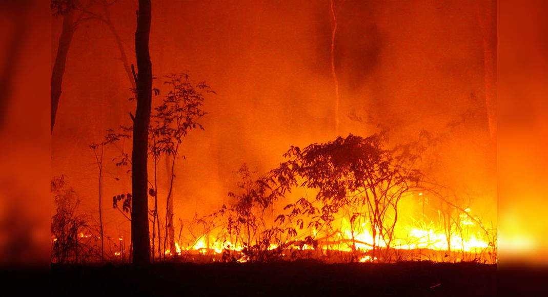 Australia bushfire: After Amazon, it's Kangaroo Island that's burning ...