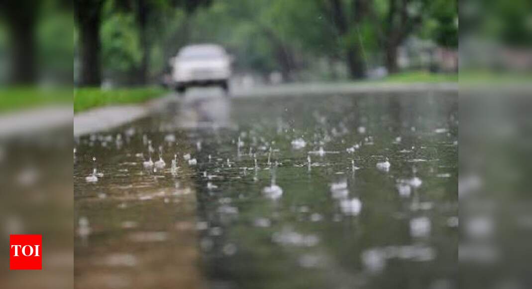 Light rains likely in Delhi from January 6 Delhi News Times of India