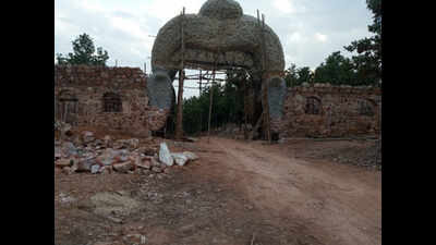 Rajgir safari: A nature lover's paradise this | Patna News - Times ...