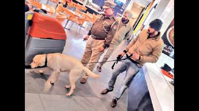 For Republic-Day, Mohali cops tighten security at VR Punjab mall