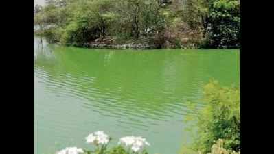 Water quality is good in 18 of 45 Bengaluru lakes: Study