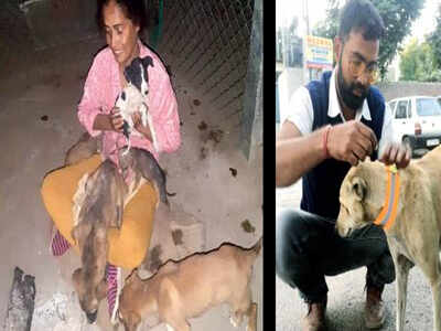 Rajasthan: Family sells ancestral property to set up rescue centre for stray dogs | Jaipur News - Times of India Rajasthan: Family sells ancestral property to set up rescue centre for stray dogs | Jaipur News - Times of India