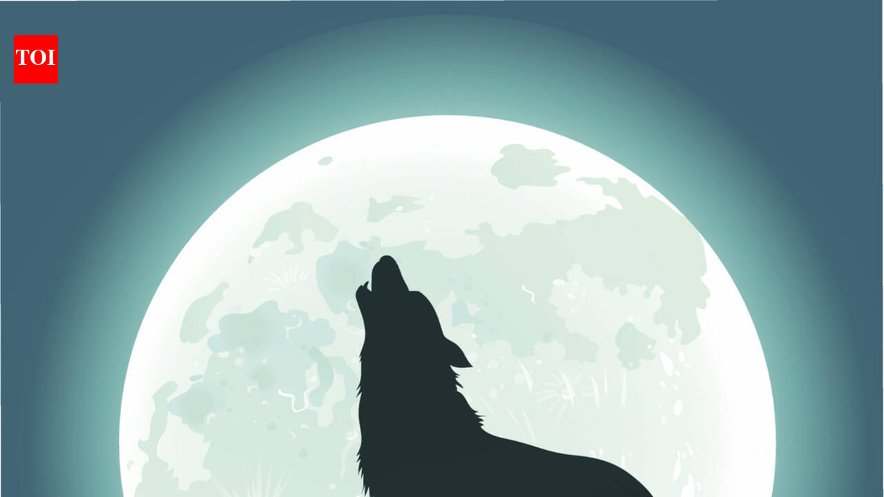 Lunar Eclipse 2020: Why the Chandra Grahan on January 10 is called ...