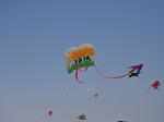Vibrant pictures from International Kite Festival in Ahmedabad