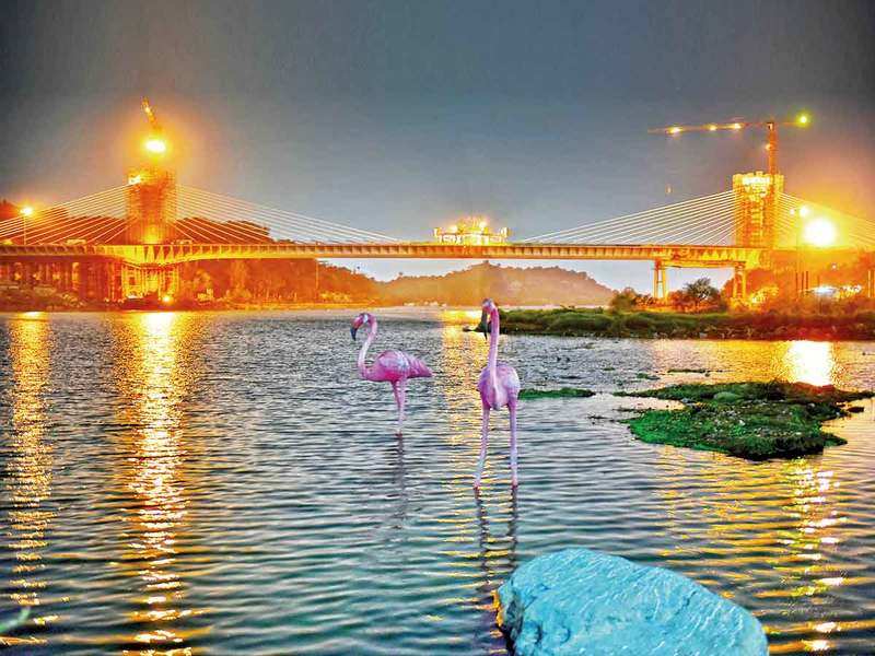 Durgam Cheruvu gets a makeover | Events Movie News - Times of India