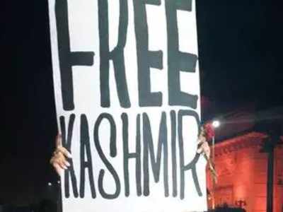 Students booked on sedition charges over 'Free Kashmir' placard at protest in Karnataka