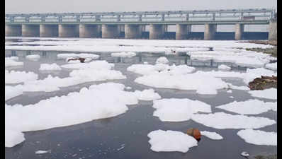 UP: Thick toxic froth engulfs Yamuna in Mathura